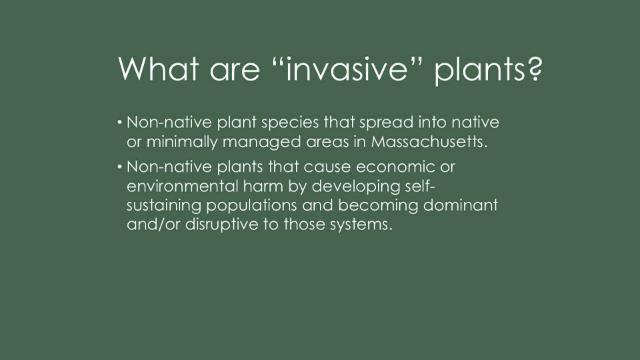 Invasive Plants Presentation at the PPL – 07-14-26