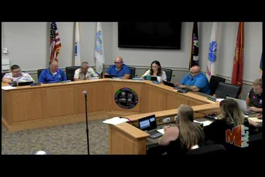 08-11-25 Palmer Town Council